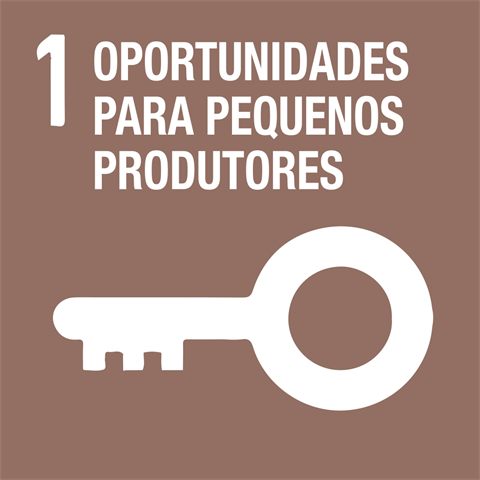 1. Oportunidades para pequenos produtores