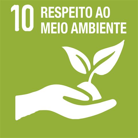 10. Respeito ao meio ambiente