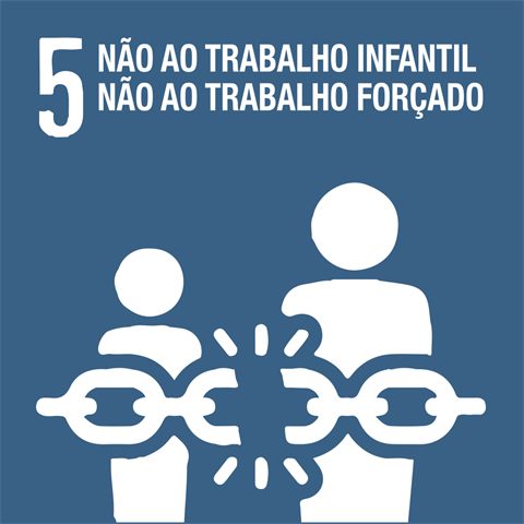 5. Não ao trabalho infantil e ao trabalho forçado