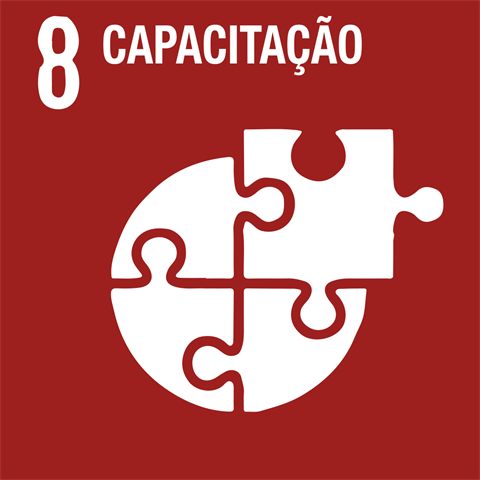 8. Capacitação